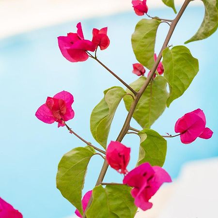 Apartamentos Los Tilos 帕格拉 外观 照片